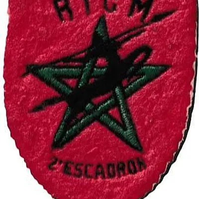 Régiment d'Infanterie Chars de Marine - 2ème Escadron
