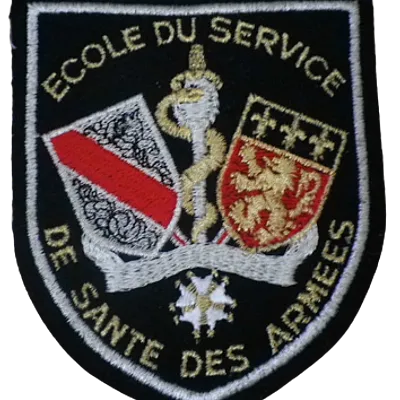 SSA : ESSA Lyon 