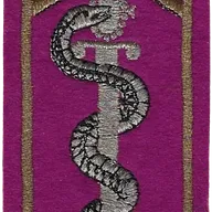 SSA : ESOSSA Ecole des Sous-Officiers du SSA Orléans Cadre doré et serpent argenté