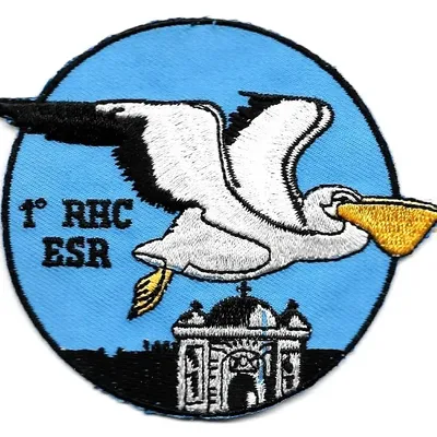 1er RHC - ESR
