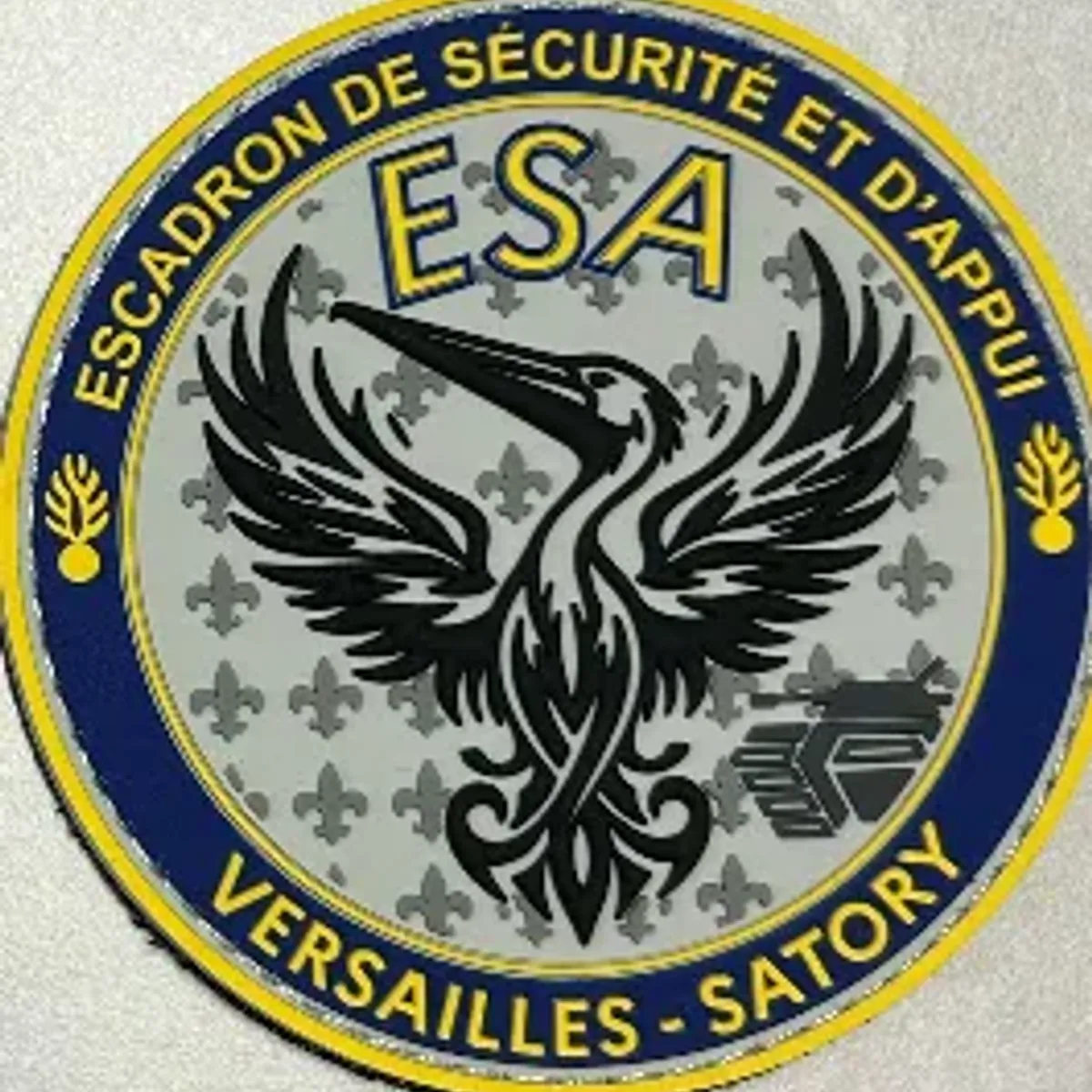ESA -  Versailles - Satory
