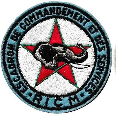 Régiment d'Infanterie Chars de Marine - Escadron de Commandement et des Services
