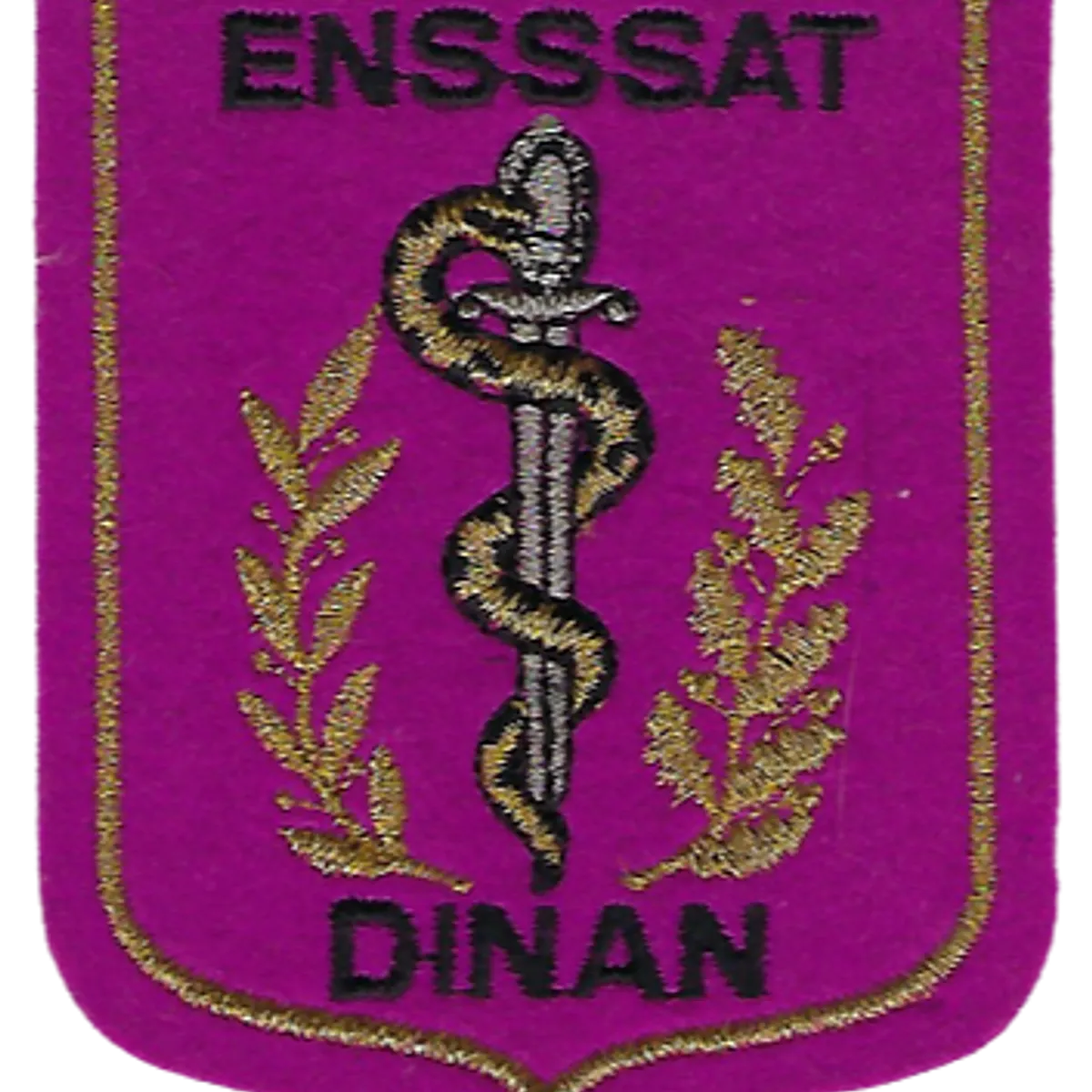 SSA : ENSSSAT Dinan 8 feuilles (chêne)