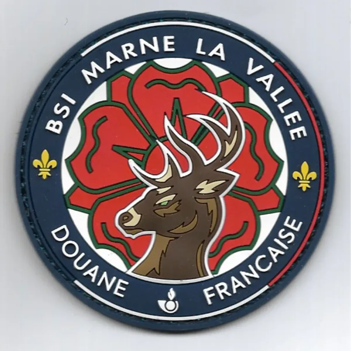 BSI - Marne-la-Vallée