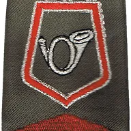 Passant d'épaule du Groupe d'Escadrons 2ème Régiment de Chasseurs - Etat-Major