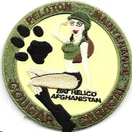 Bataillon Hélico - Peloton de Maintenance - Task-Force Mousquetaire
