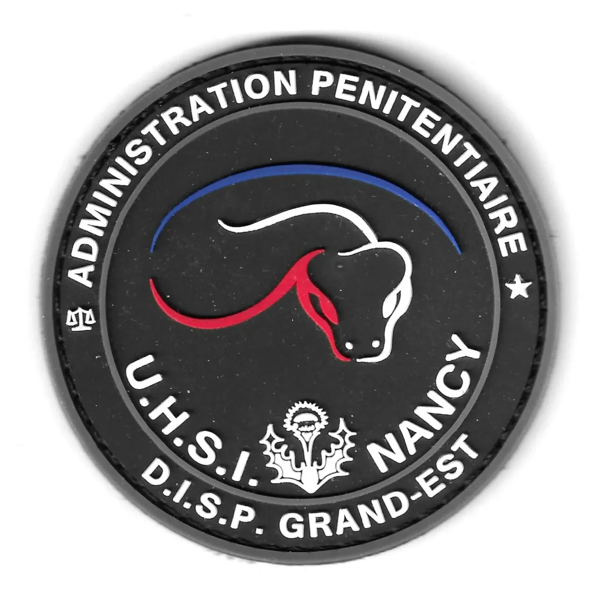 UHSI Nancy 