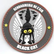 GAE - Black Cat - Chat noir
