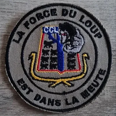 53e RT / CCL / La force du loup est dans la meute