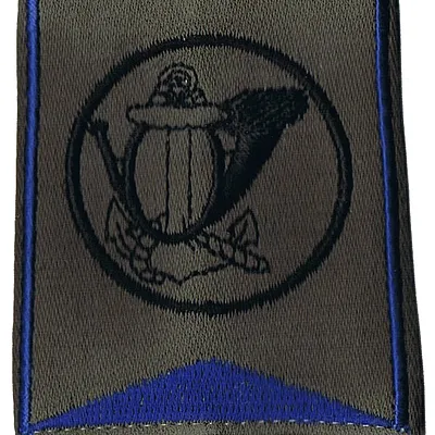 Passant d'épaule du Groupe d'Escadrons 1er Régiment de Chasseurs - 1er Escadron (V1)