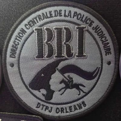 Brigade de Recherche et d'Intervention - DTPJ - Orléans