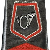 Passant d'épaule du Groupe d'Escadrons 2ème Régiment de Chasseurs - Escadron de Commandement et de Logistique (V2)