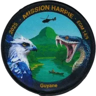 Guyane Opération Harpie 2025 EGM14/9