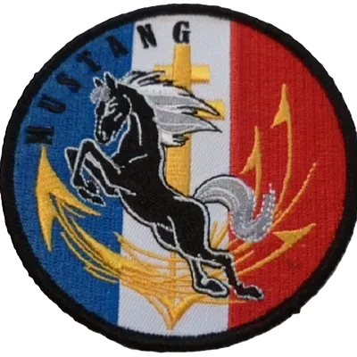Charles de Gaulle - Mustang