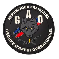GAO