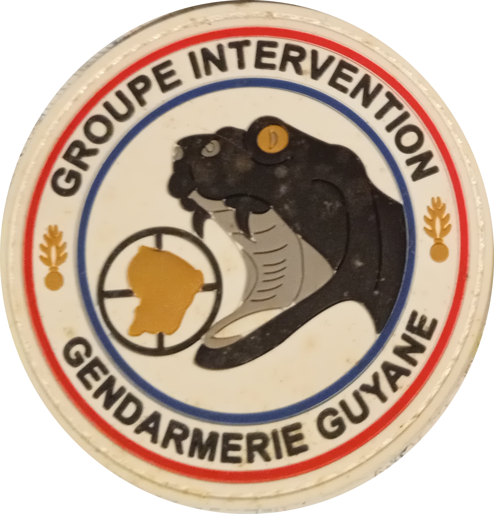 Groupe Intervention Guyane