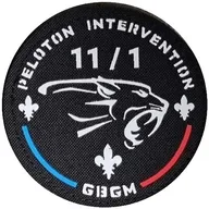PI EGM 11/1 Satory GBM