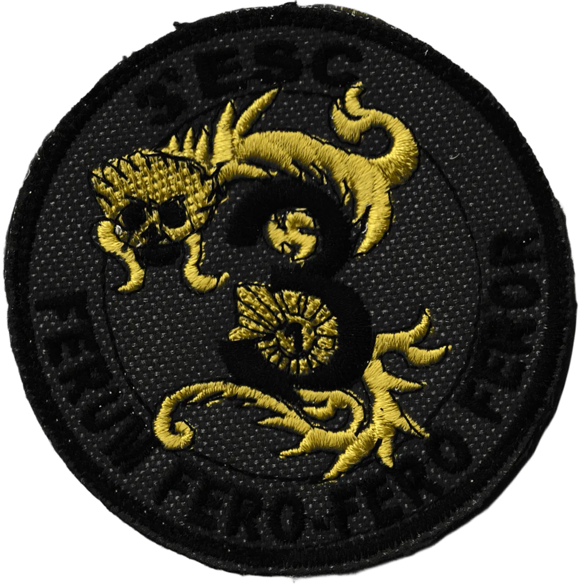 1er Régiment de Chasseurs - 3ème Escadron