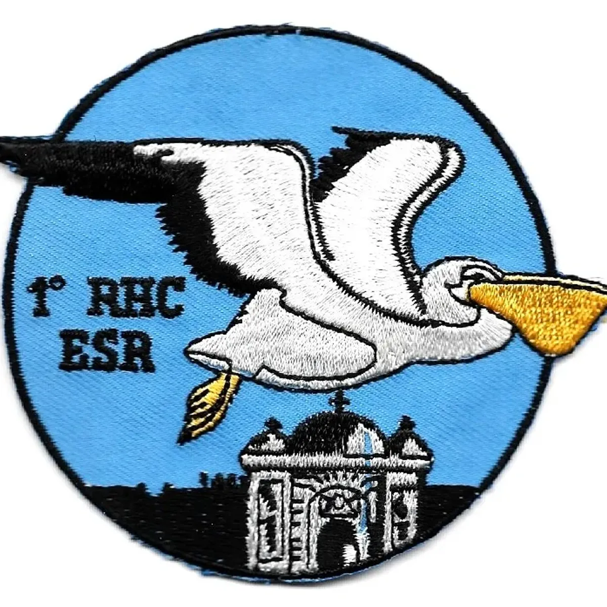 1er RHC - ESR
