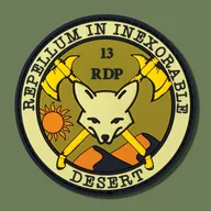 13e RDP - 1er escadron - stage SERE environnement désert 2022