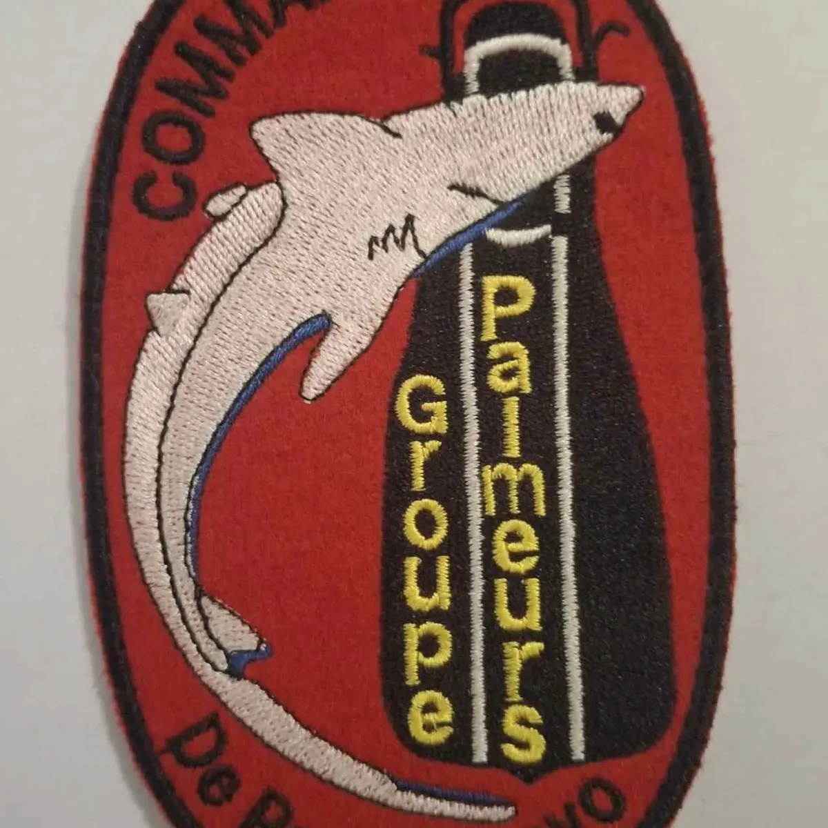Commando Marine de Penfentenyo, Groupe Palmeurs.