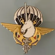 Opération Licorne