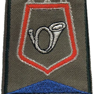 Passant d'épaule du Groupe d'Escadrons 1er Régiment de Chasseurs - 3ème Escadron (V2)