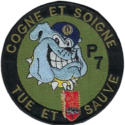 SSA : Régiment Médical "Cogne et Soigne" "Tue et Sauve" P7