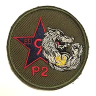 Régiment d'Infanterie Chars de Marine - EII9 - 2e Peloton