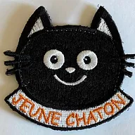 4F - Jeune chaton