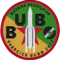 Bubo 2017