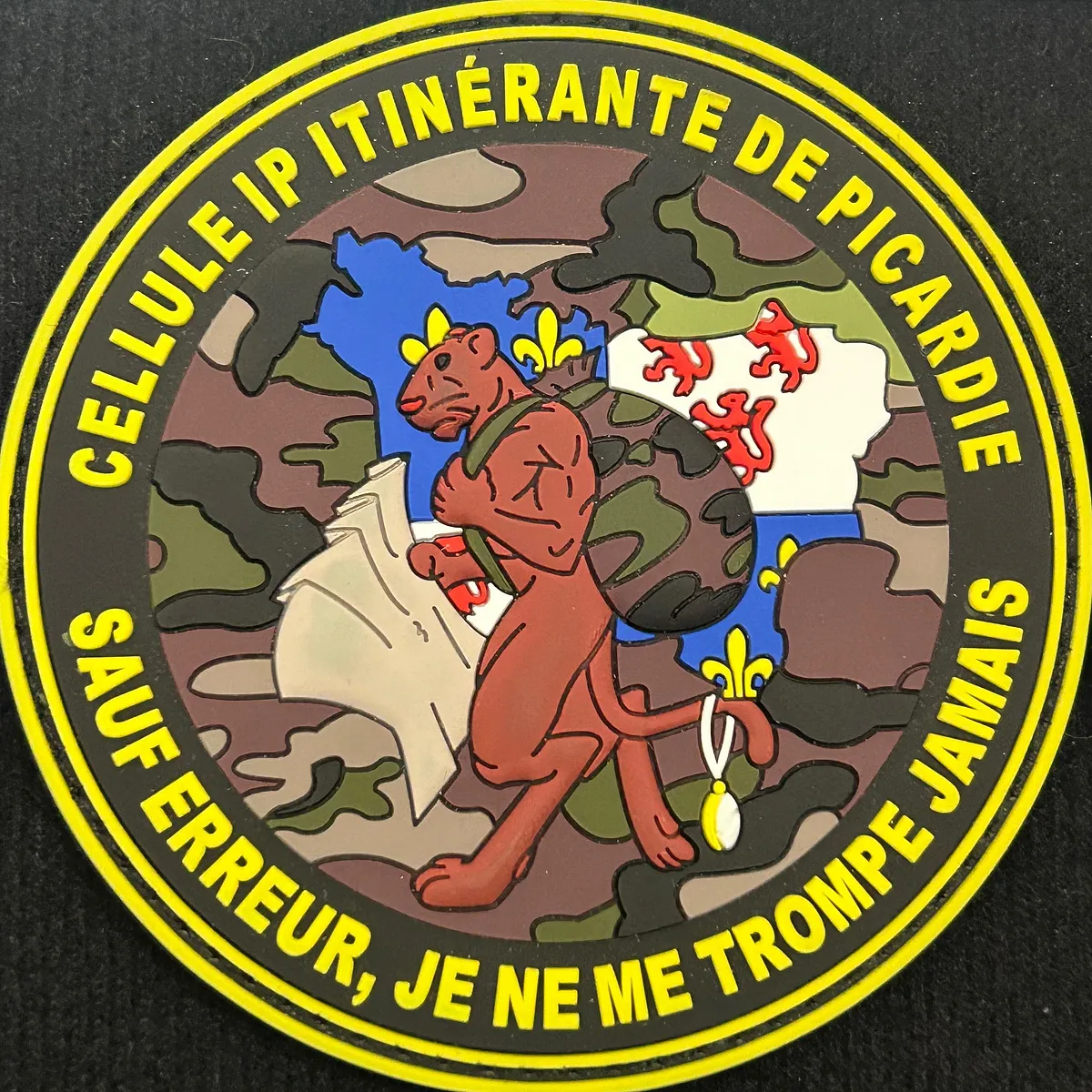 Cellule IP de Picardie