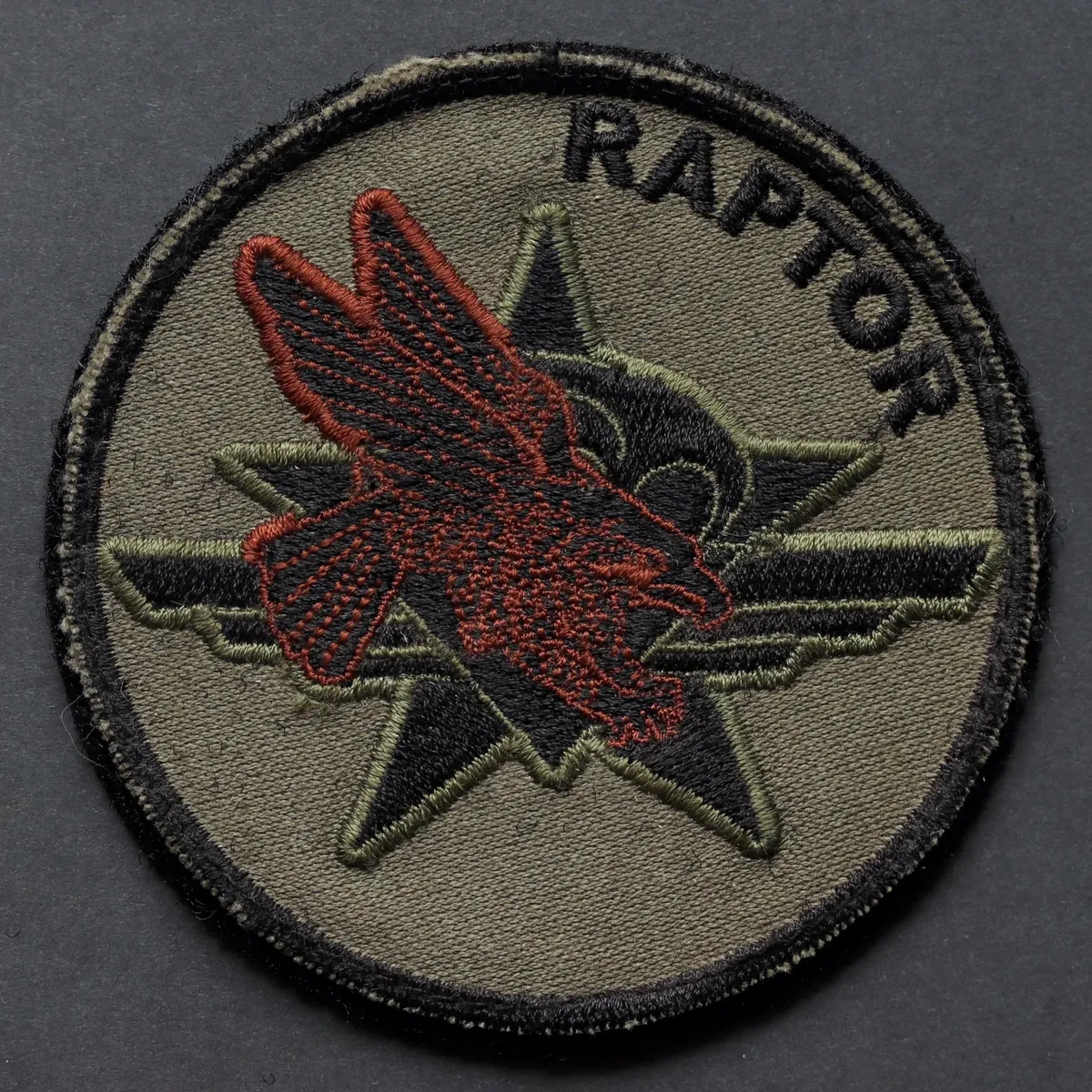 1er RCP, Battle Group Raptor, Afghanistan 2011