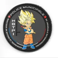 PM - Moniteur TPCI 