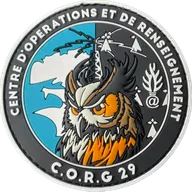 CORG 29