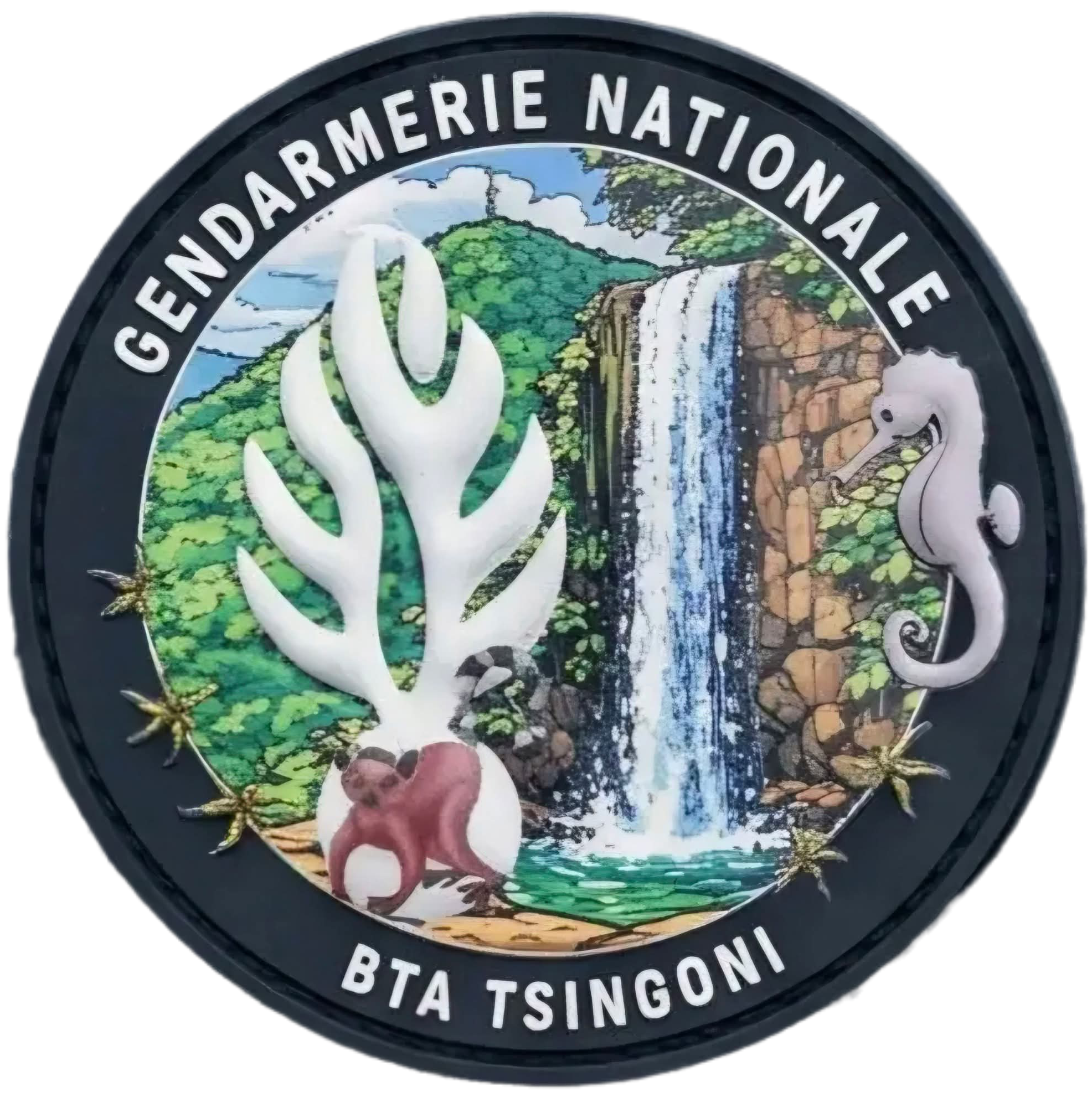 BTA - Tsingoni
