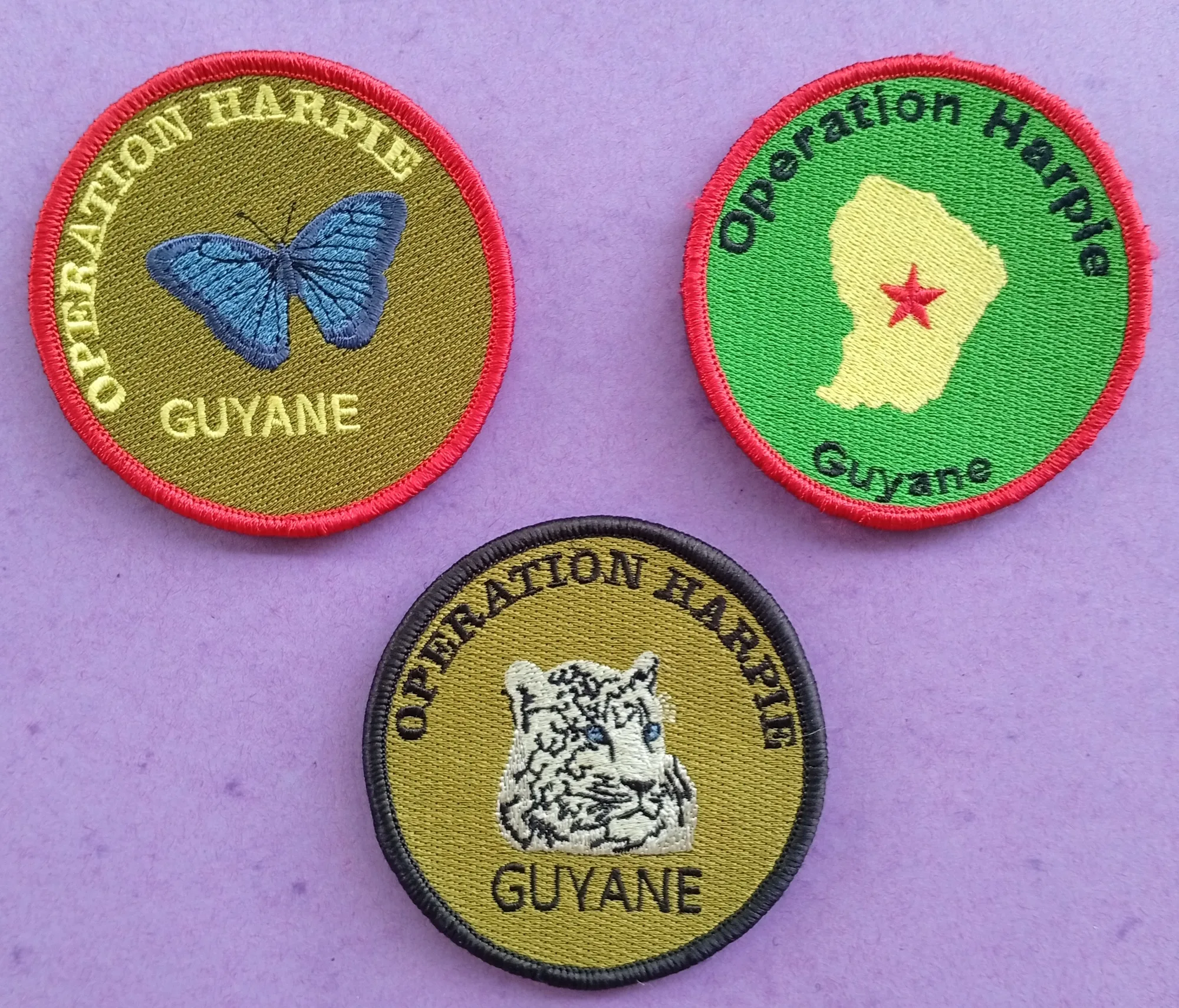 Opération Harpie - Guyane - morpho - 2