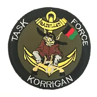 3e Régiment d'Infanterie de Marine - Task Force Korrigan