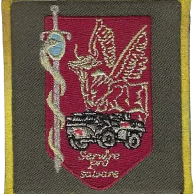 SSA : Régiment Médical Félin type 1 3ème CMC