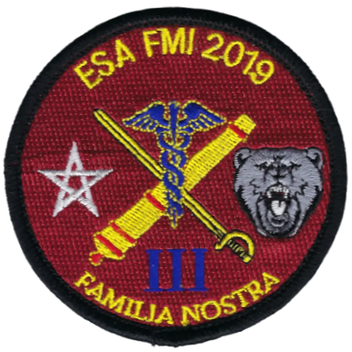 SSA : ESA Lyon Bron FMI 2019