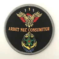 Régiment d'Infanterie Chars de Marine - 1er Escadron