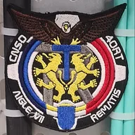 Aigle VII / Renfort CNSO + 40e RT