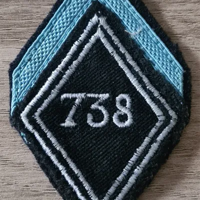 Losange 738eme CGE / Modèle Troupe / 1ere Classe 