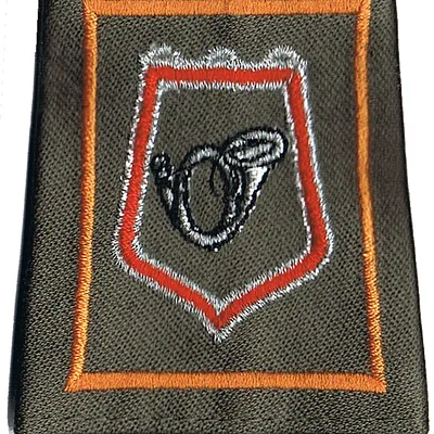 Passant d'épaule du 1er-2ème Régiment de Chasseurs - Escadron de Base et d'Instruction (V3)
