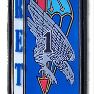 13e RDP - 1er escadron - RET