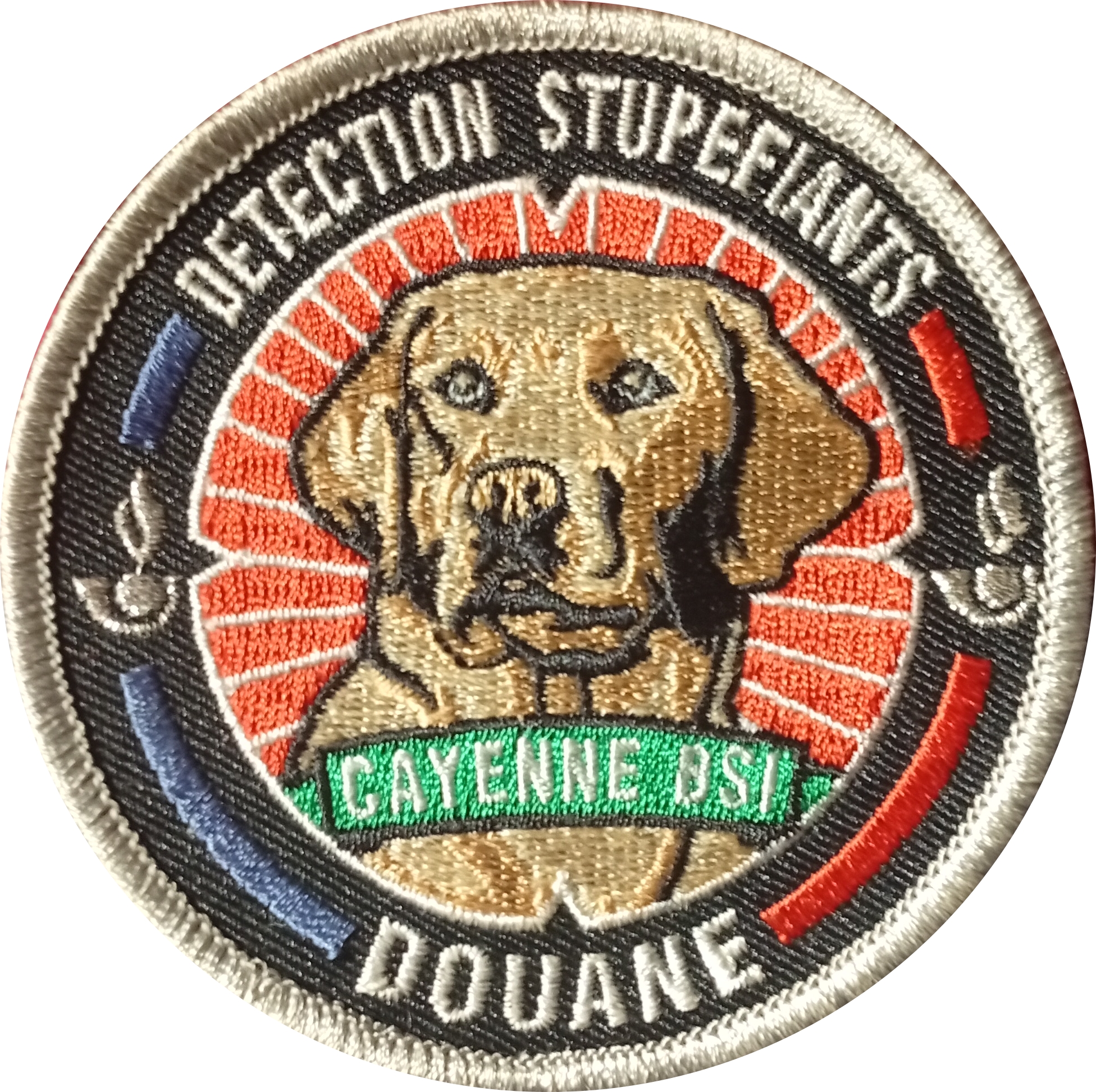 BSI - Cayenne - Detection Stupefiants 