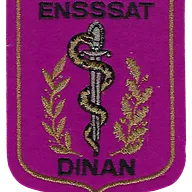 SSA : ENSSSAT Dinan 8 feuilles (chêne)