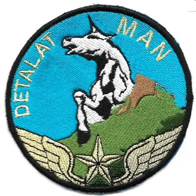 DETALAT MAN - Opération Licorne