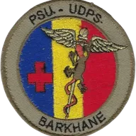 SSA : PSU UDPS Barkhane