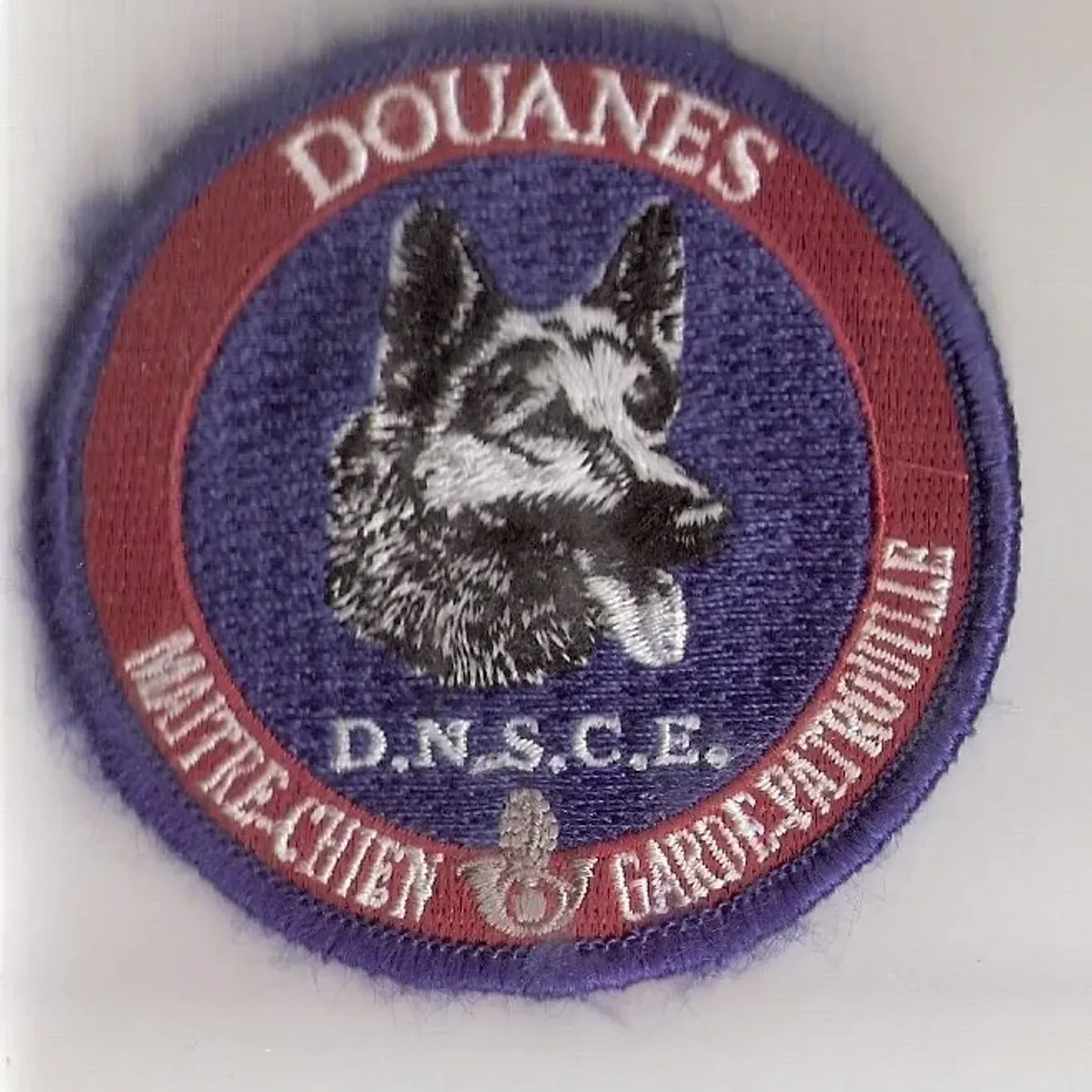 Douanes - Maître de chien de la DNSCE